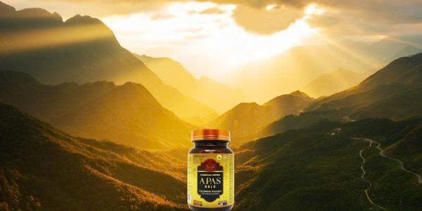 Viên Uống Trầm Hương APAS GOLD - Image 1